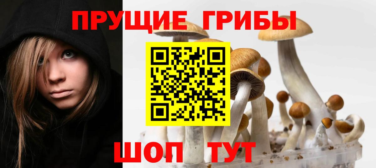 Дагестанские Огни  Галлюциногенные грибы Psilocybe  Вход с VPN 
